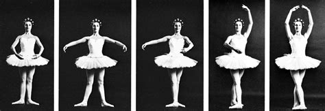 second position ballet definition: The art of balance and expression in the second position